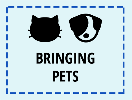 Bringing Pets