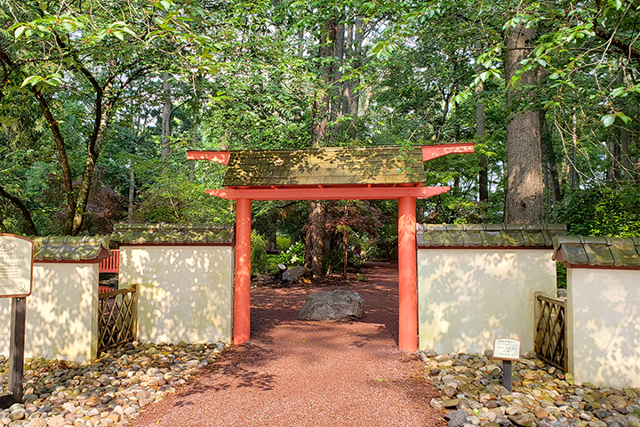 Virginia Beach and Miyazaki 01
