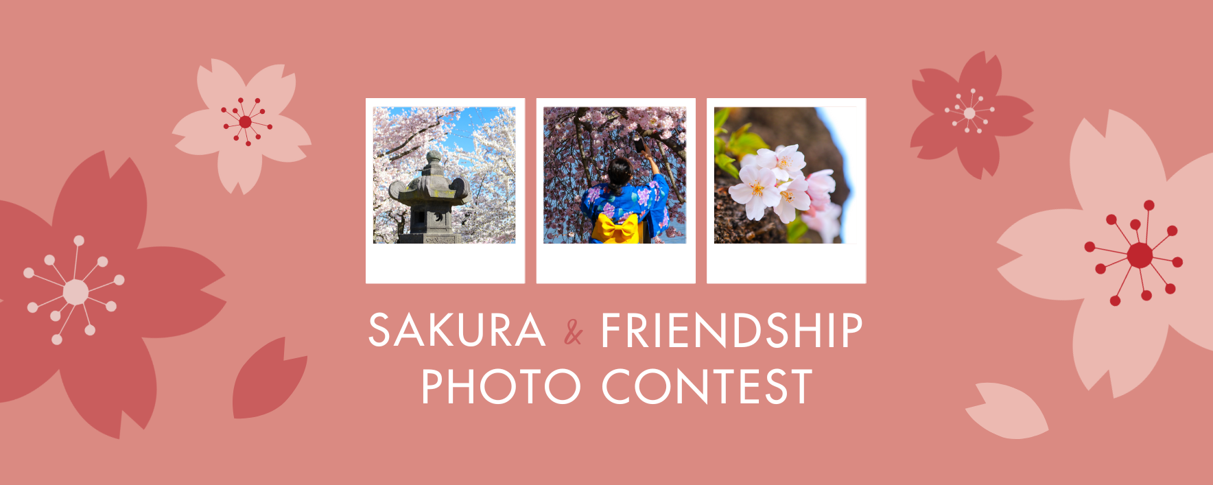 2025 Photo Contest