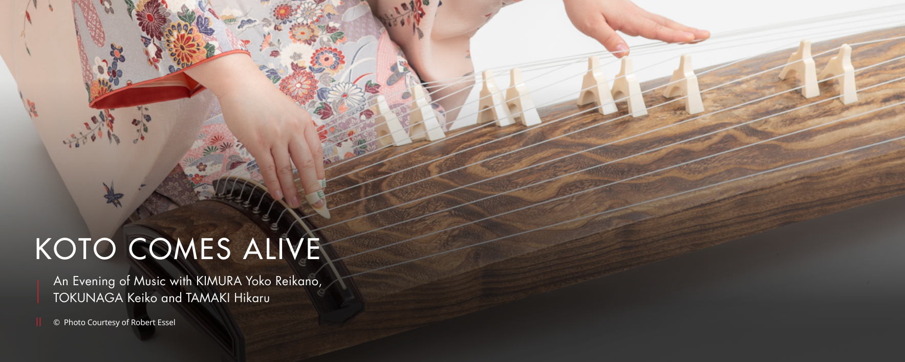 KOTO COMES ALIVE