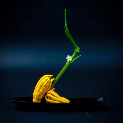 The Art of IKEBANA