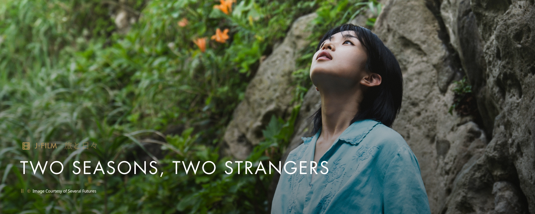 Two Seasons, Two Strangers Banner Image