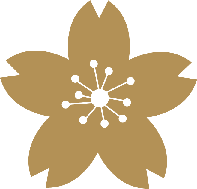 slide-category-icon